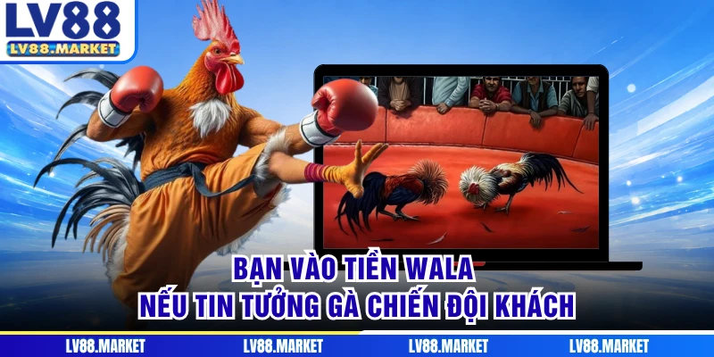 Bạn vào tiền Wala nếu tin tưởng gà chiến đội khách