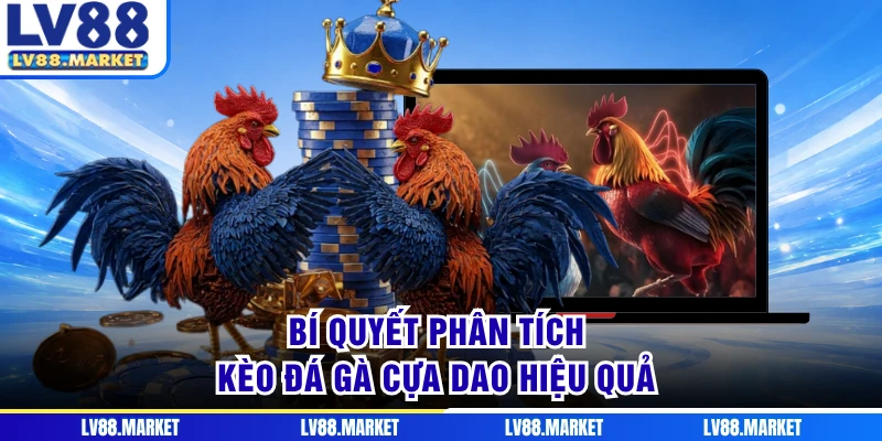 Bí quyết phân tích kèo đá gà cựa dao hiệu quả