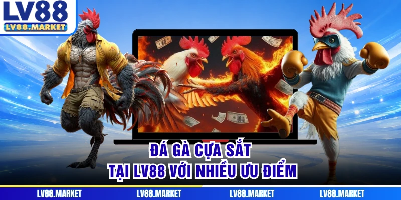 Đá gà cựa sắt tại LV88 với nhiều ưu điểm