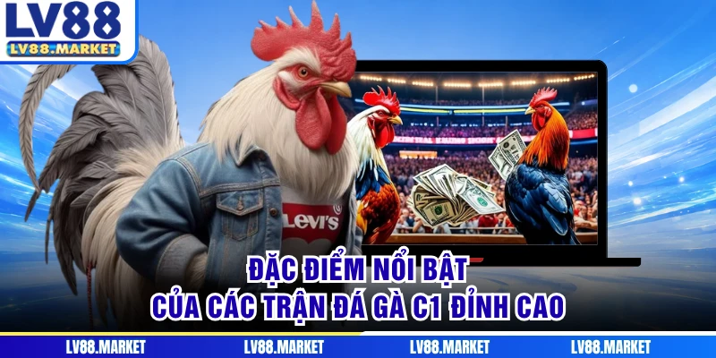 Đặc điểm nổi bật của các trận đá gà C1 đỉnh cao