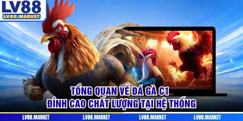 Tổng quan về đá gà C1 đỉnh cao chất lượng tại hệ thống