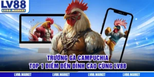 Trường Gà Campuchia - Top 1 Điểm Đến Đỉnh Cao Cùng LV88
